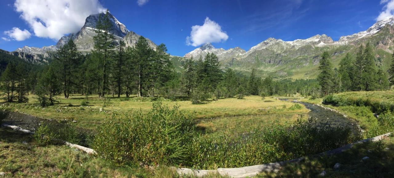 הוילה וארצו Casa Vacanza In Tipico Chalet Di Montagna מראה חיצוני תמונה